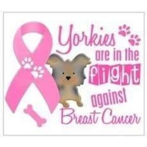 Meet your Posher, Wanda